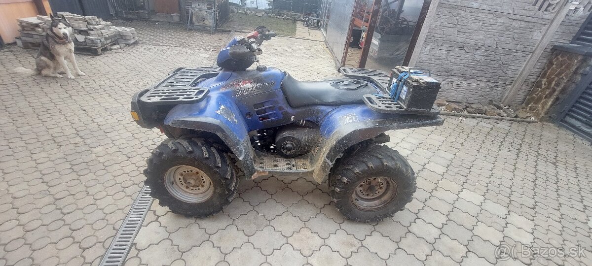 Polaris sportsman 500