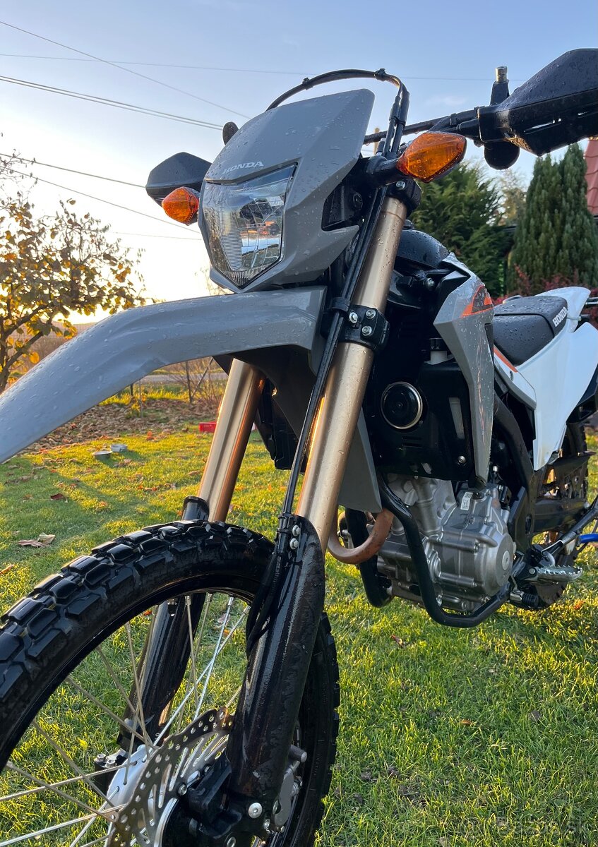 Honda Crf 300l