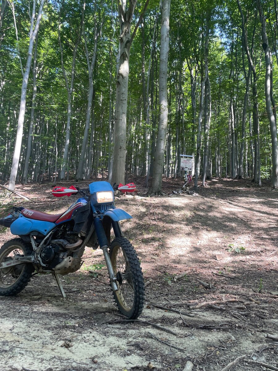 Kawasaki klr 600