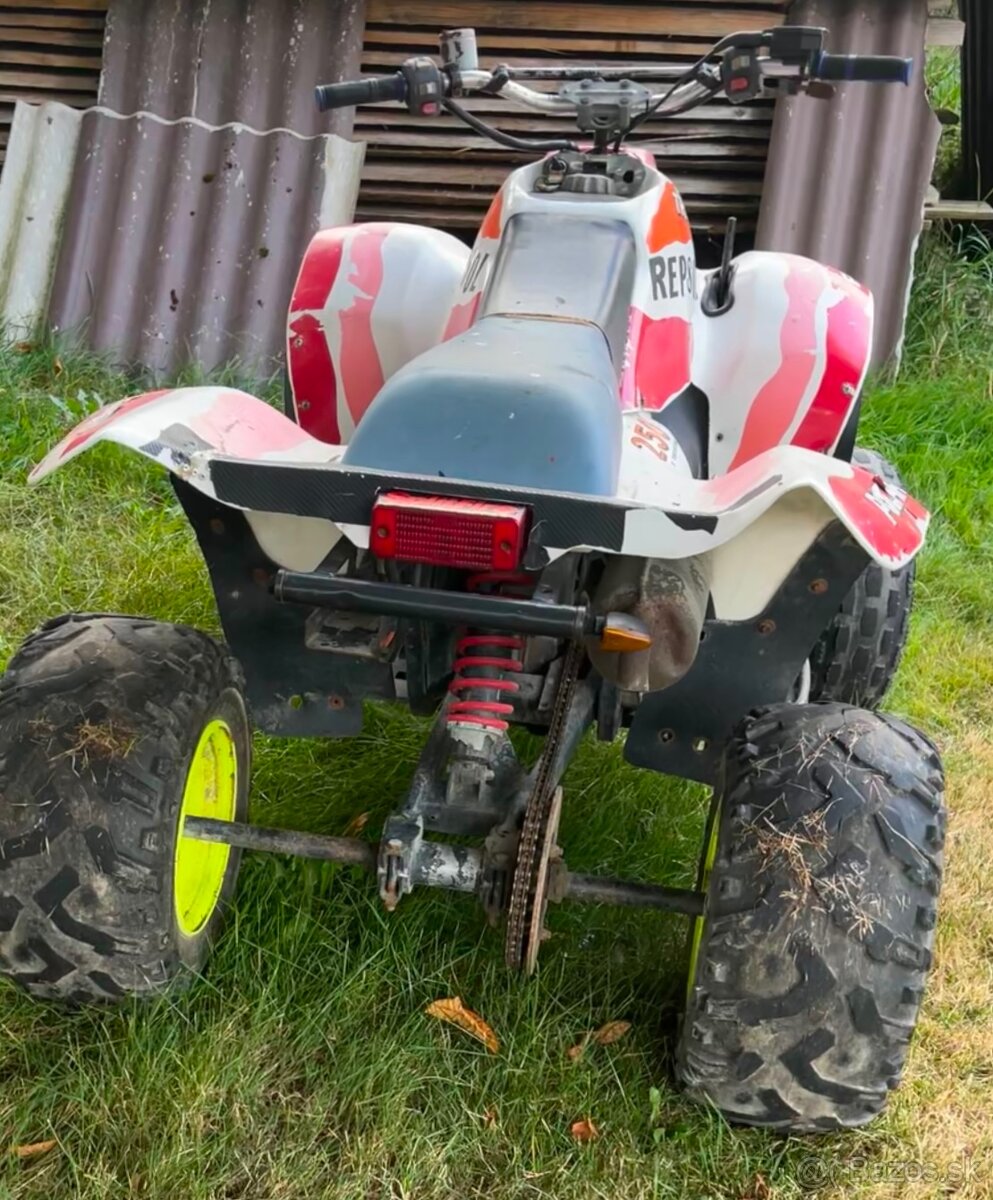 Polaris blazer 250