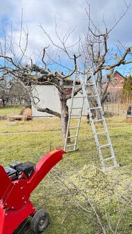 OREZÁVANIE A STRIHANIE OVOCNÝCH STROMOV - KOŠICE - 20