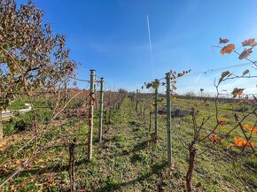 Viničný dom s vinohradom na predaj, Melek - 20