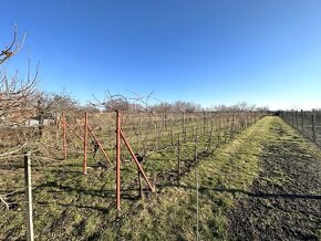 2 samostatné rodinné domy na veľkom pozemku v meste Galanta - 20