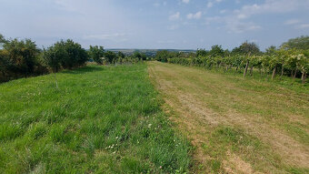 Na predaj domček / chatu v Žemberovciach s pozemkom 2437 m2 - 20