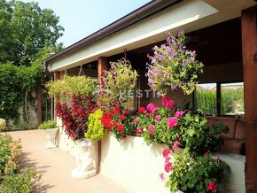 Krásny dom s veľkou záhradou a podnikateľským priestorom Doj - 20