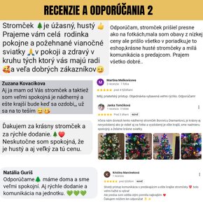 Vianočný stromček, Vianočné stromčeky ako źivé❗RECENZIE - 20