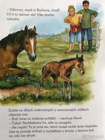 Prechádzky s dinosaurami, Ako táboriť, Miro Jaroš, Vedomosti - 20