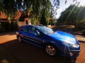 Peugeot 407SW - 20