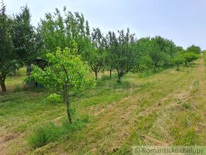 Viničný domček s 22-árovým ovocným sadom pri Vrábloch na p - 20