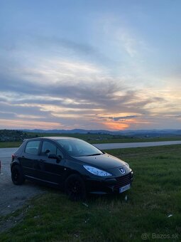 Peugeot 307 1.4 16v - 20