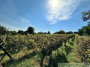 Viničný domček s vinohradom nad malebnou dedinkou Michal n - 20