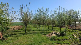 okr. Topoľčany obec Soľčany pekný RD hneď k nasťahovaniu - 20