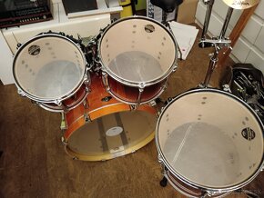 predam Tama Superstar Maple - 2