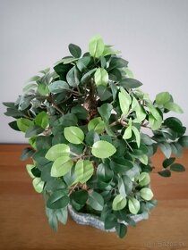 Bonsai umelý/dekorácia 12€ - 2