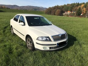 Skoda Octavia 1.9TDI DSG - 2