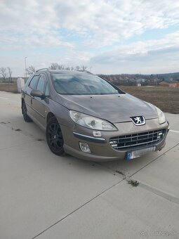 Peugeot 407 SW - 2