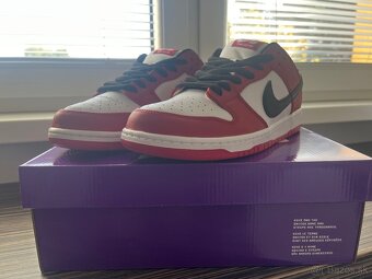 Nike SB Dunk Chicago - 2