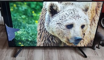 Sony Bravia KD-55XF7005 - 2