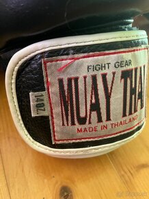 Muay thai vystroj - 2