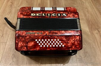 Delicia Junior XII I - 32 bas - 2