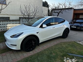 Tesla model Y Long Range Dual Motor 378kw - 2