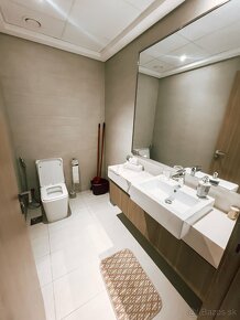 APARTMÁNY  v  DUBAJI  -  novostavba - 2