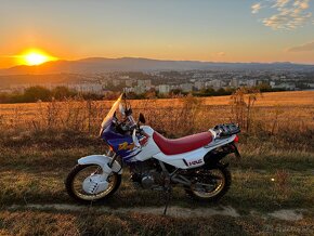 Honda Dominator NX650 - 2