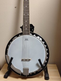 Banjo Richwood 6-strunové - 2