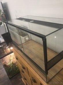 Terarium - 2