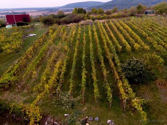 REZERVOVANÉ Hontianske Nemce – 554 m2 Pozemok na CHATU - 2