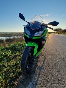 Kawasaki Ninja 300 - 2