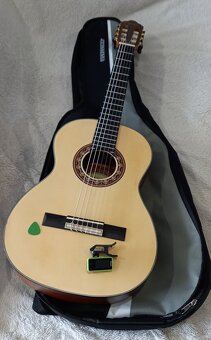 Gitara  VC303 - 2