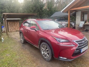 Lexus NX 300H - 2