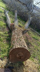 Orechove drevo - 2