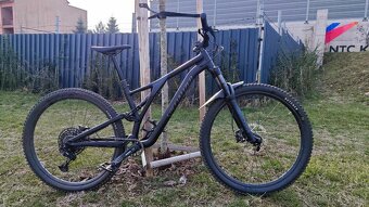 Specialized Stumpjumper S4 - 2