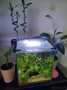 Predam nano akvarium +plus led - 2