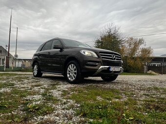 Mercedes ML 350 Bluetec 4Matic, - 2