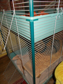 klietka FURET TOWER pre fretky - 2