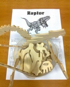 3D PUZZLE Raptor - 2