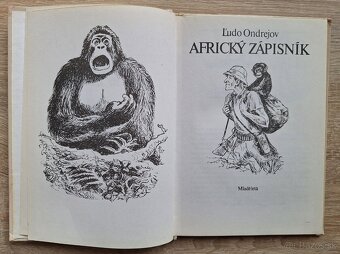 Africky zapisnik - 2