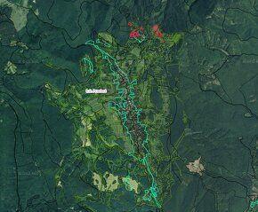 Prochot (ZH) - 6.069 m2 LESNÉ POZEMKY pri chatovej oblasti - 2