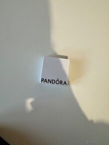 Nausnice PANDORA - 2