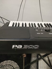 Korg pA 300 - 2