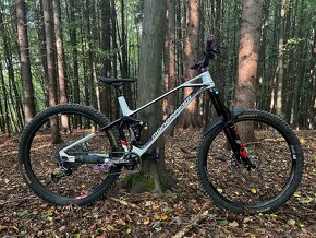 Mondraker Superfoxy Carbon R - 2