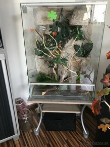 Terarium - 2