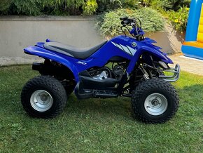 Yamaha Raptor 50 - 2