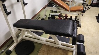 Technogym decline bench, zľavnené z 300€ - 2