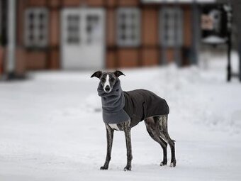 Zimná bunda whippet / vipet - 2