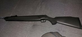 Ruger air MAGNUM - 2