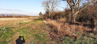 Pozemok na predaj: 4776 m2 na podnikanie, Čerhov – Malá Tŕňa - 2